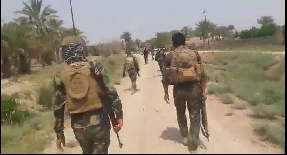 القوات العراقية تحرر جنوب الفلوجة من "داعش"