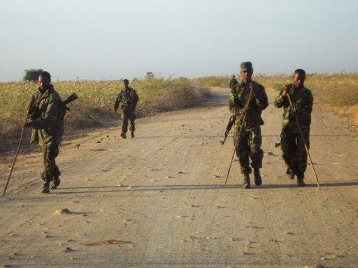 اديس ابابا: عدد كبير من الضحايا في الاشتباك الحدودي بين اثيوبيا واريتريا