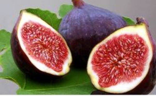 البواسير: الأسباب والأعراض والعلاج