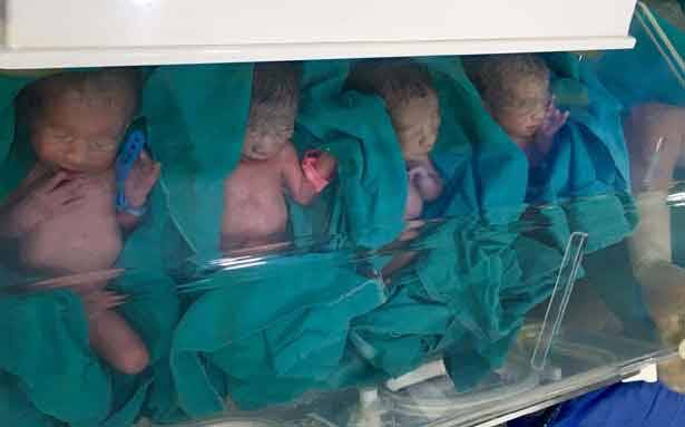 ولادة أربعة توائم في «سيدة المعونات»