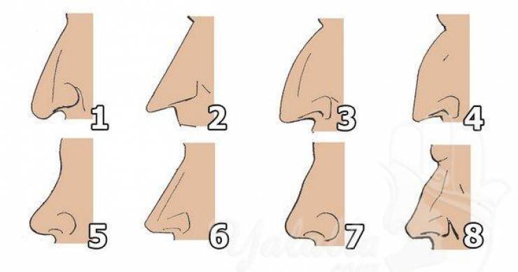 أكتشف شخصيتك الأن فقط من خلال شكل أنفك!