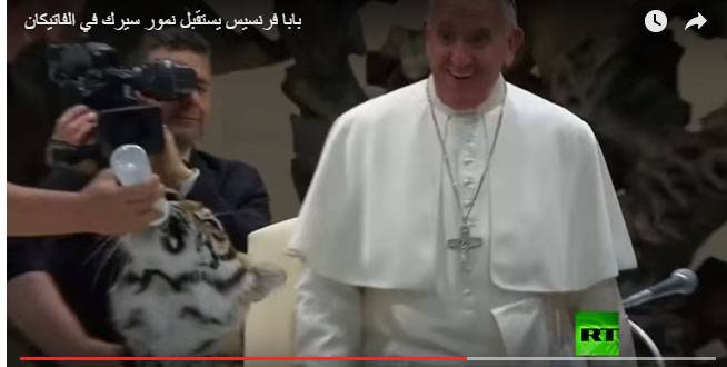 بالفيديو نمر يحاول عض يد البابا فرنسيس