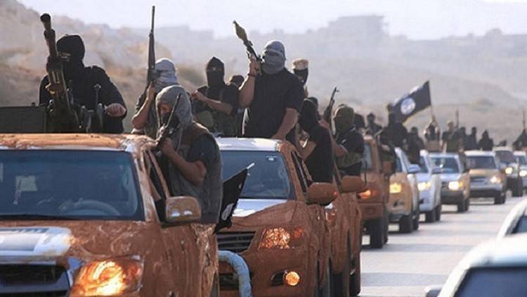 صنداي تايمز: قرابة 20 بريطانيا يحاربون إلى جانب 