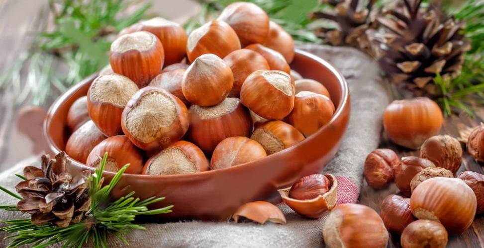 البندق لتعزيز صحة الدماغ والدورة الدموية