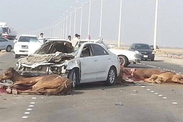 مقتل 4 عمّال وإصابة آخرين والسبب !