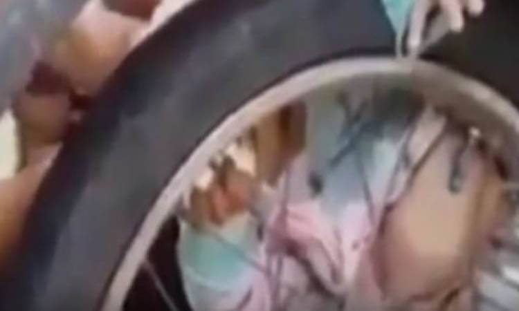 بالفيديو.. غباء أم يتسبب في حادث أليم لرضيعها