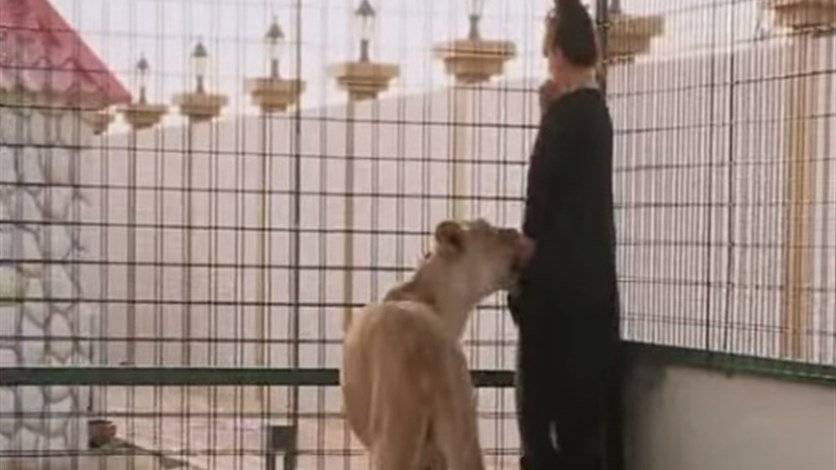 بالفيديو: لبوة تعضّ فنانة خليجيّة وتنهشها أمام الكاميرات