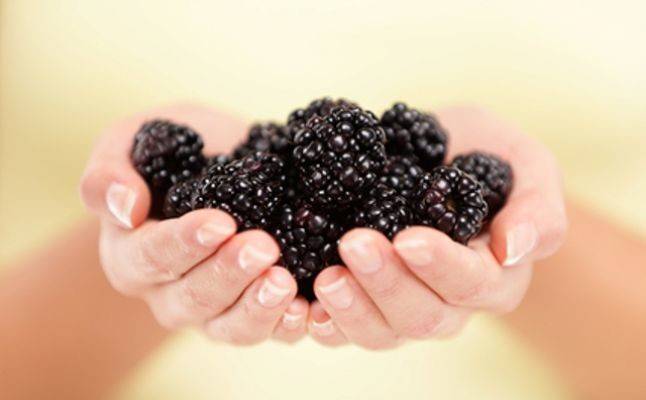 أسباب كثيرة تدفعكم لشرب عصير التوت البري