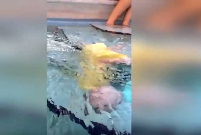بالفيديو: سقط هذا الرضيع في المسبح فيما ظلت أمه تصوره بدون أن تنقذه