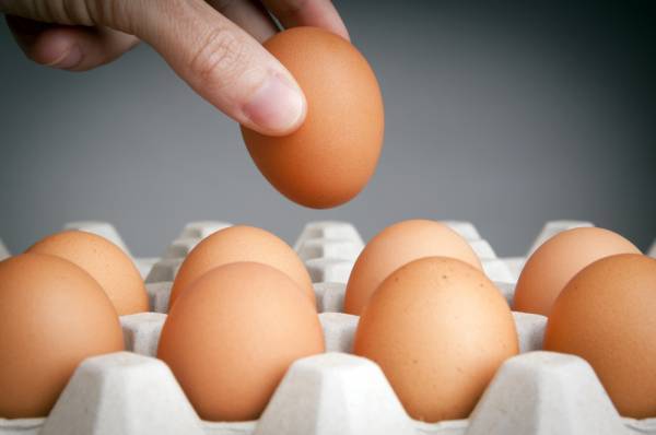 العلماء: لا تأكلوا أكثر من ثلاث بيضات في الأسبوع لهذا السبب!