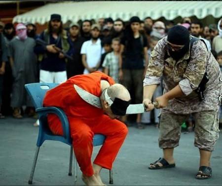 بالصور.. 
