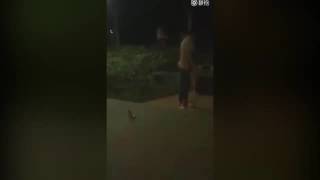 بالفيديو.. العثور على امرأة مغتصبة داخل حقيبة سفر !