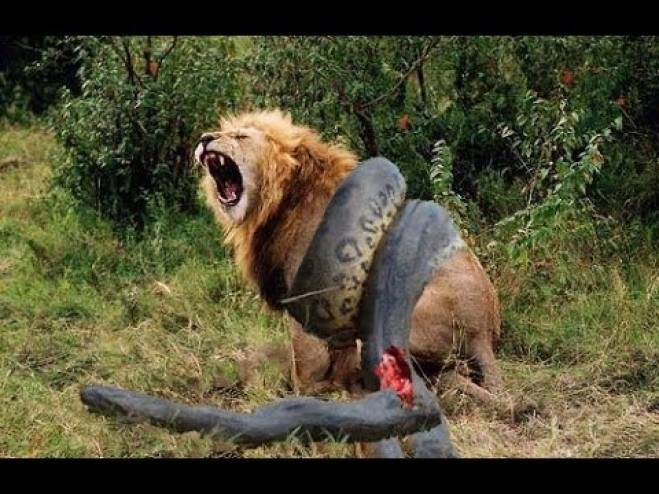 فيديو: ما حقيقة هذه الصورة التي أشعلت مواقع التواصل الاجتماعي؟