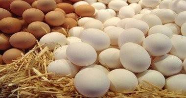 سالمونيلا البيض.. خطر علينا الوقاية منه