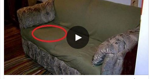 بالفيديو أشترى انتريه مستعمل وعند الجلوس عليه أكتشف بداخله شئ لم يتوقعه أحد !!