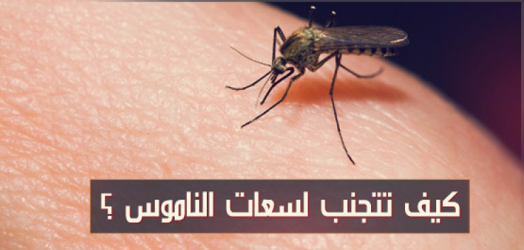 كيف تتجنبون لسعات البعوض نهائياً ؟