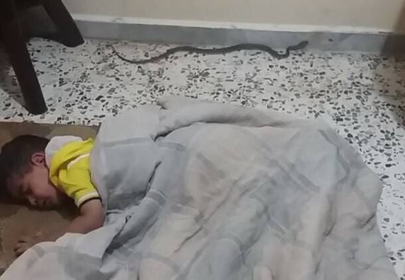 بالصورة: أفعى يقتحم غرفة طفل.. فاذا حصل؟