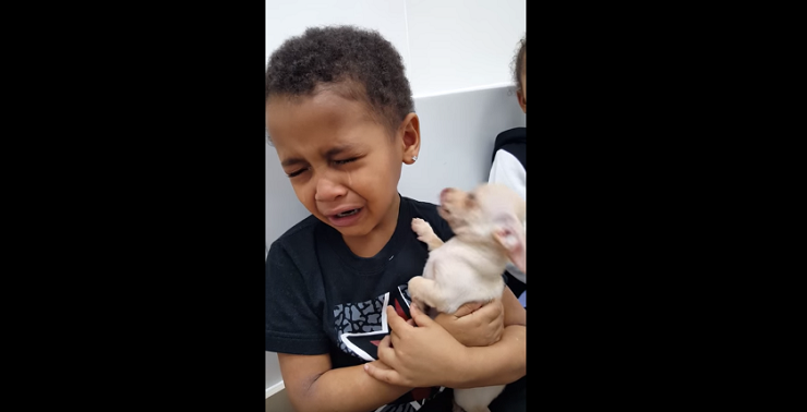اصطحبته أمه لمحل حيوانات أليفة.. ردة فعله كانت ظريفة جدا