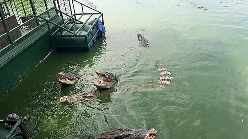 صور أثارت غضب رواد الانترنت والسبب؟