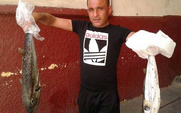 سمك النفيخة السام
يظهر في بحر صور