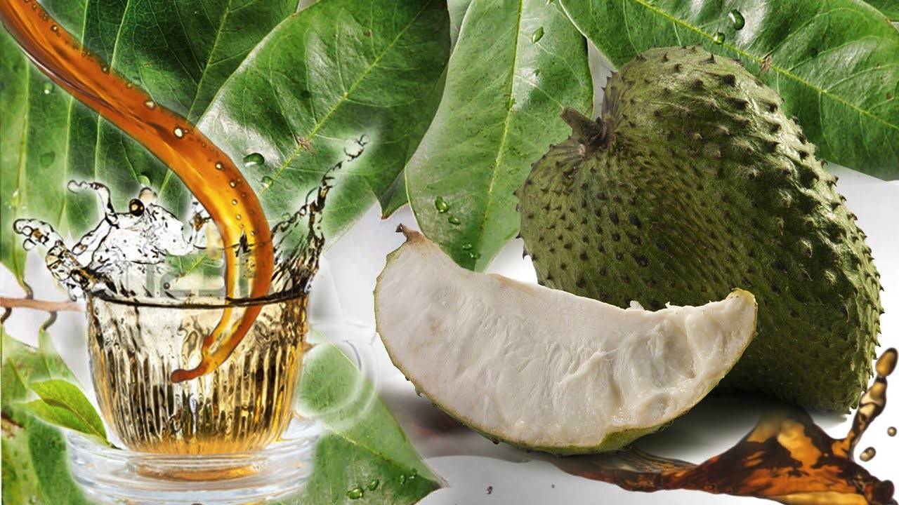 الفاكهة التي "هزّت" العالم بفوائدها.. ما هي الغرافيولا؟