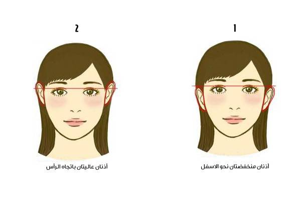 اختبار مدهش: هل انت من النوع الذكي أم الحدسي؟