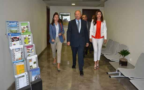 لاسن زارت الصفدي وكرامي والجسر:
نهتم بأمن لبنان والحفاظ على تنوّعه