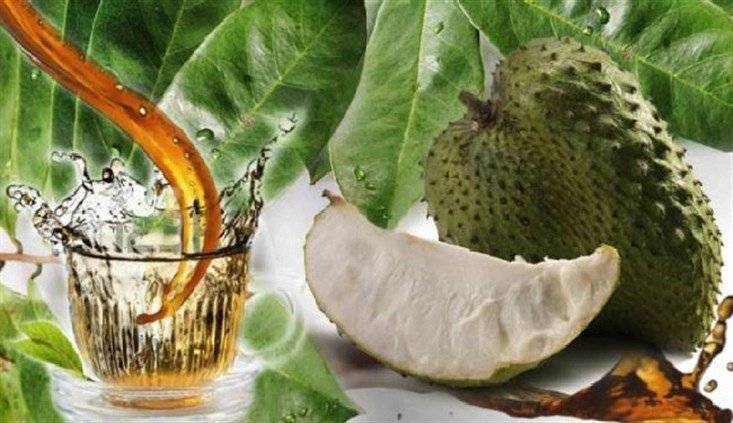 الفاكهة التي "هزّت" العالم بفوائدها.. ما هي الغرافيولا؟