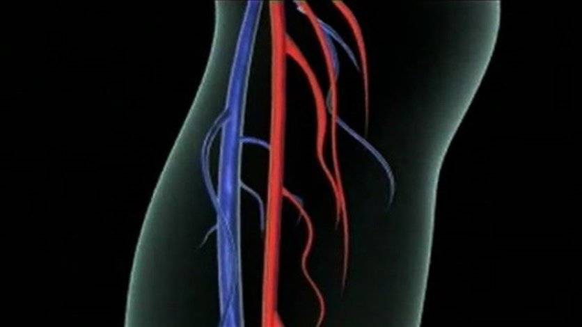 5 أطعمة لعلاج مشاكل تدفق الدمّ واحتباس المياه في الجسم