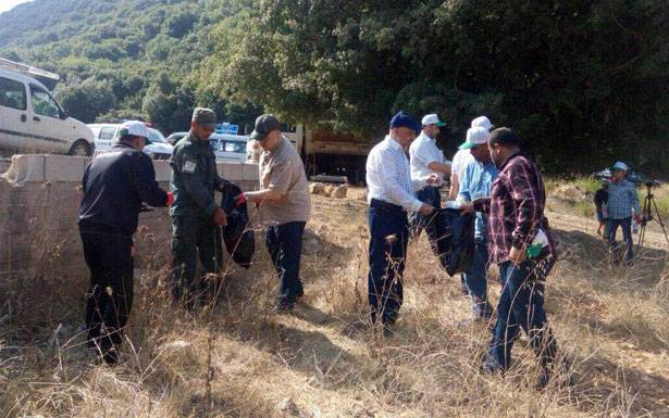 بلديات جبل عامل نظمت
يوماً بيئياً في محمية وادي الحجير