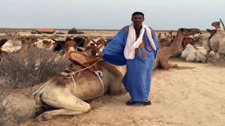 بالصّور: موريتانيا تستقبل القادة العرب بـ 1500 جمل