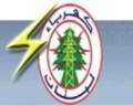 ميامو البقاع في كهرباء لبنان يقررون الاعتصام بعد غد في شتورا