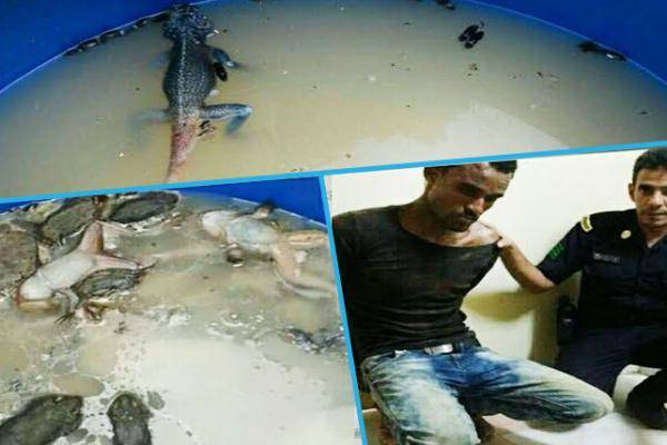 ضبط مصنع خمور يطهى فيه سحالي وفئران في السعودية (صور)