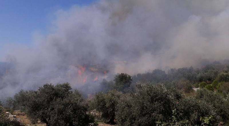 حريق كبير في حرج سنديان في حبالين جبيل
