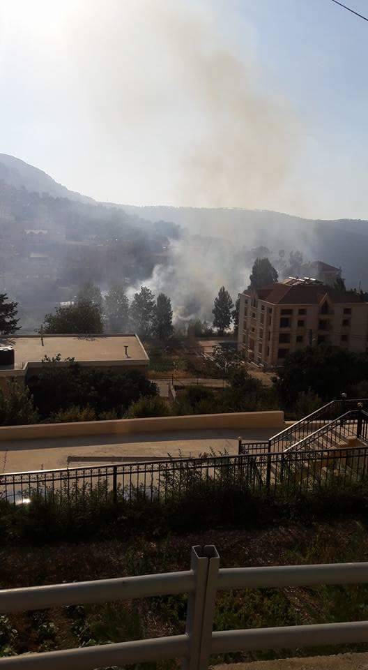 حريق في جزين أتى على عدد من أشجار الصفصاف المحيطة بالنهر