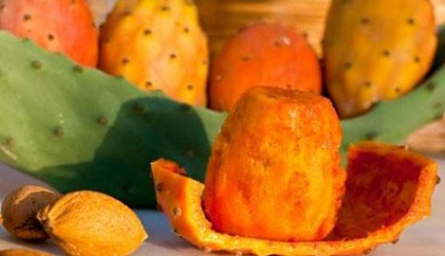 اقرأ الخبر.. ولن توقف عن أكل الصبار طيلة حياتك