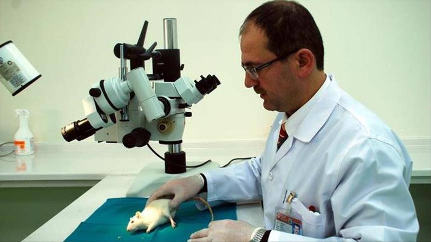 عقار جديد يوقف تدهور دماغ مرضى الزهايمر