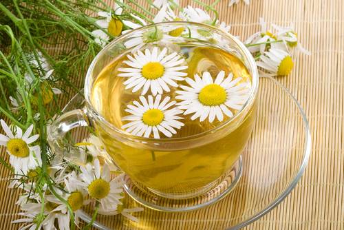 هل عليكِ شرب البابونج أم وضعه على وجهك؟ الاجابة ستفاجئك!