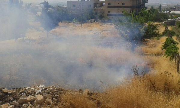 حريق في منيارة قضى على 1000 متر من أشجار الزيتون