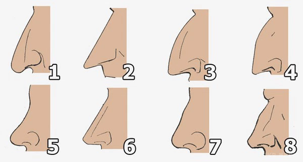 صدق أو لا تصدق: هذا ما يقوله عنك شكل أنفك