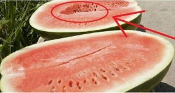 تنبيه: لا تأكلوا البطيخ الأحمر أبداً في هذه الحالة!