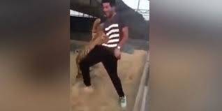 بالفيديو.. نمر يهاجم رجلاً حاول اللعب معه