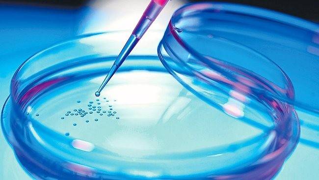 الاستنساخ العلاجي.. يُعلن فجراً طبّياً جديداً