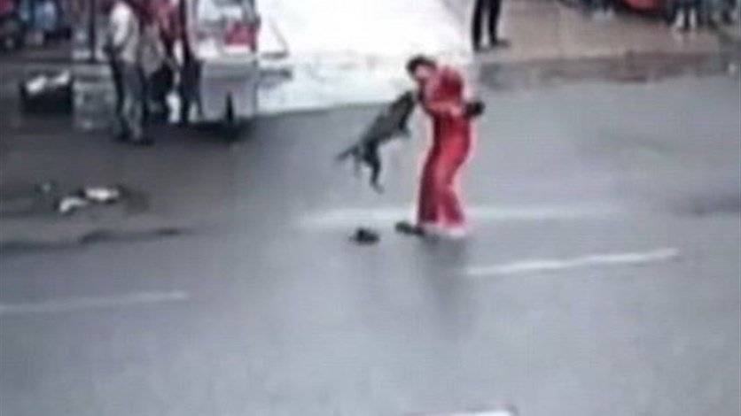 بالفيديو: كلب مفترس ينقضّ على أكثر من 20 شخصاً في الشارع!