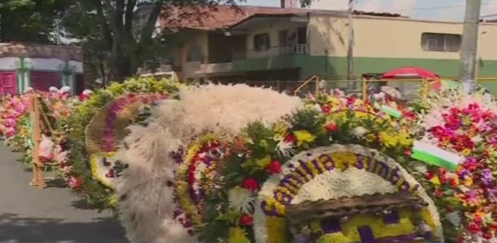 مدينة Medellin الكولومبية تغرق بالازهار وروائحها الذكية