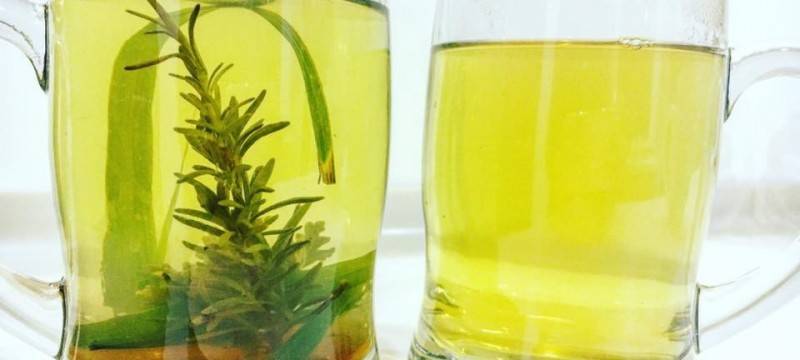 إكليل الجبل علاج للسرطان