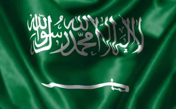 ماذا تريد السعوديّة من قضيّة دشتي؟