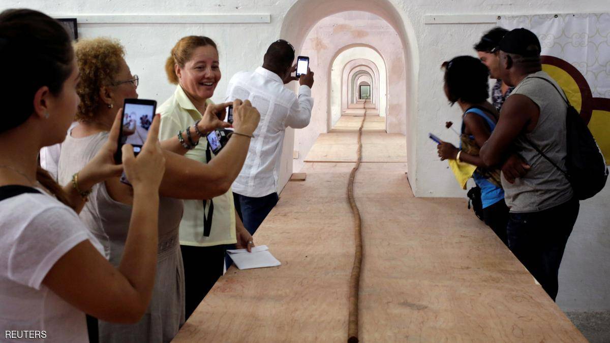 هدية لكاسترو.. أطول سيجار في العالم بطول ملعب كرة قدم