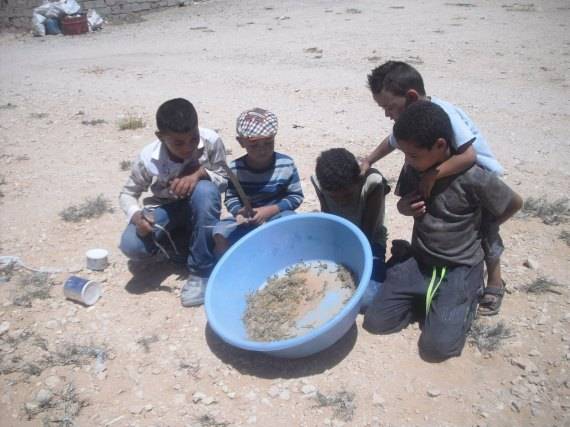 "بالصور صائدو العقارب".. أطفالٌ تونسيون لا يخافون الموت ليضمنوا مصاريف حياتهم