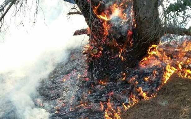 حرائق في المناطق...
وعناصر الإطفاء تعمل على إخمادها